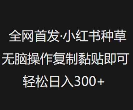 全网首发,小红书种草无脑操作,复制黏贴即可,轻松日入3张