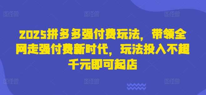 2025拼多多强付费玩法,带领全网走强付费新时代,玩法投入不超千元即可起店