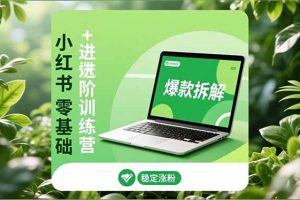 （16801期）小红书零基础+高阶训练营：安全养号、爆款拆解、长效运营，实现稳定涨粉与变现