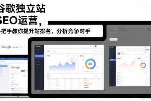 谷歌独立站SEO运营，手把手教你提升网站排名、分析竞争对手（更新2026）