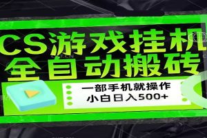 CSGO游戏挂机捡漏搬砖，超稳定的项目，带领1000+小白实现日入500+