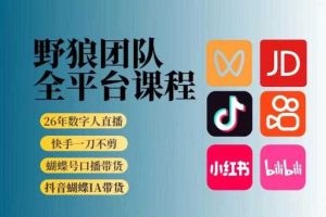 野狼团队2026新版全平台短视频带货教学,打开流量突破口,开始Ai带货(更新0724)