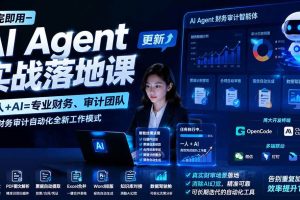 （19702期）学完即用—AI Agent实战落地课-更新：一人+AI=专业财务、审计团队，解锁财务审计自动化全新工作模式