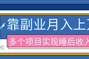 （20301期）2026年多个真实副业项目，带你搭被动收入管道（淘宝无人直播、海外TK拉新、最新最全代运营、公众号陪跑和去水印小…