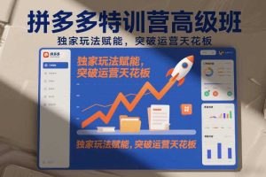 拼多多特训营高阶班,独家玩法赋能,突破运营天花板(更新260905)