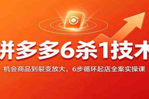 拼多多6杀1技术：机会商品到裂变放大，6步循环起店全案实操课
